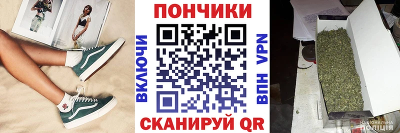 Каннабис Amnesia  Луга 